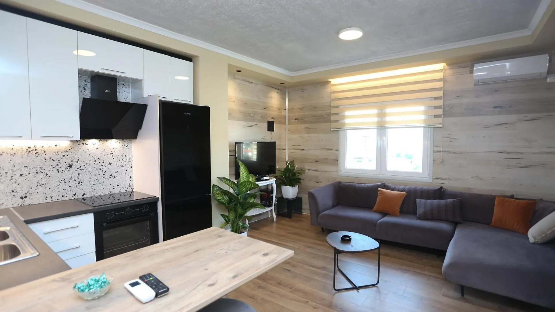 David Center Apartment Tirana 0*,
